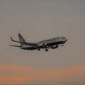 Handling Complaints and Issues: A Guide for Airline Customers