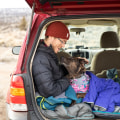 Road Tripping with Pets: Tips and Tricks for Traveling with Your Furry Companion