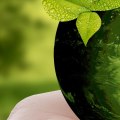 Supporting Local Businesses and Conservation Efforts: How to Be an Eco-Friendly Traveler