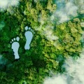 Eco-Friendly Travel: Responsible Tourism Practices for Airline Travelers