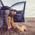 Maintaining Your Pet's Routine While Traveling: Tips and Advice for Pet Owners