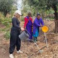 Cultural Immersion through Teaching and Volunteering in Local Communities