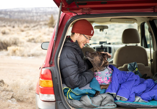 Road Tripping with Pets: Tips and Tricks for Traveling with Your Furry Companion