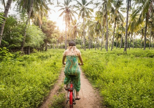 Learning About and Supporting Local Ecosystems: A Guide to Eco-Friendly Travel