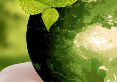 Supporting Local Businesses and Conservation Efforts: How to Be an Eco-Friendly Traveler