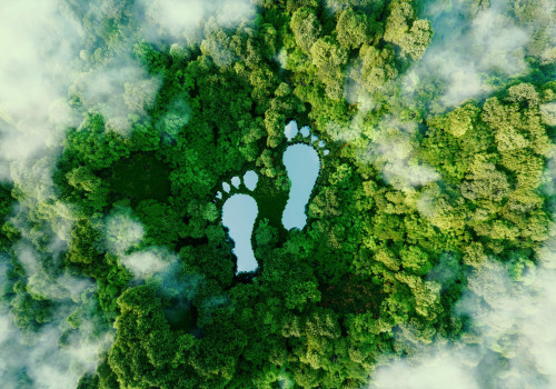 Eco-Friendly Travel: Responsible Tourism Practices for Airline Travelers