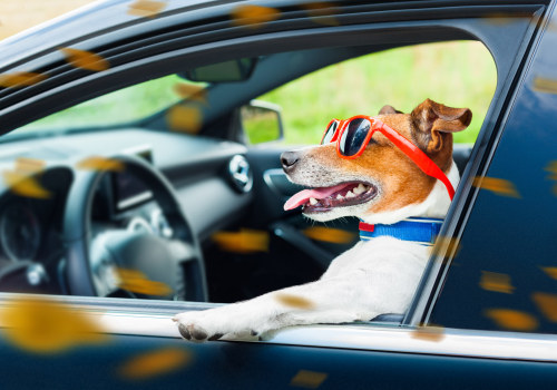 Dealing with Emergencies and Unexpected Situations When Traveling with Pets