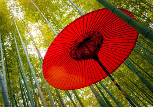 Understanding Cancellation Insurance and Protection Plans